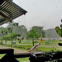 Shower in the rainy season